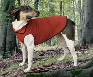 Ruby red fleece dog pullover sweater on dog outdoors, high collar and leg openings