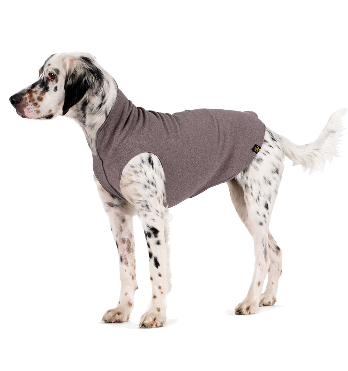 Charcoal gray stretch fleece dog coat with full back and leg openings