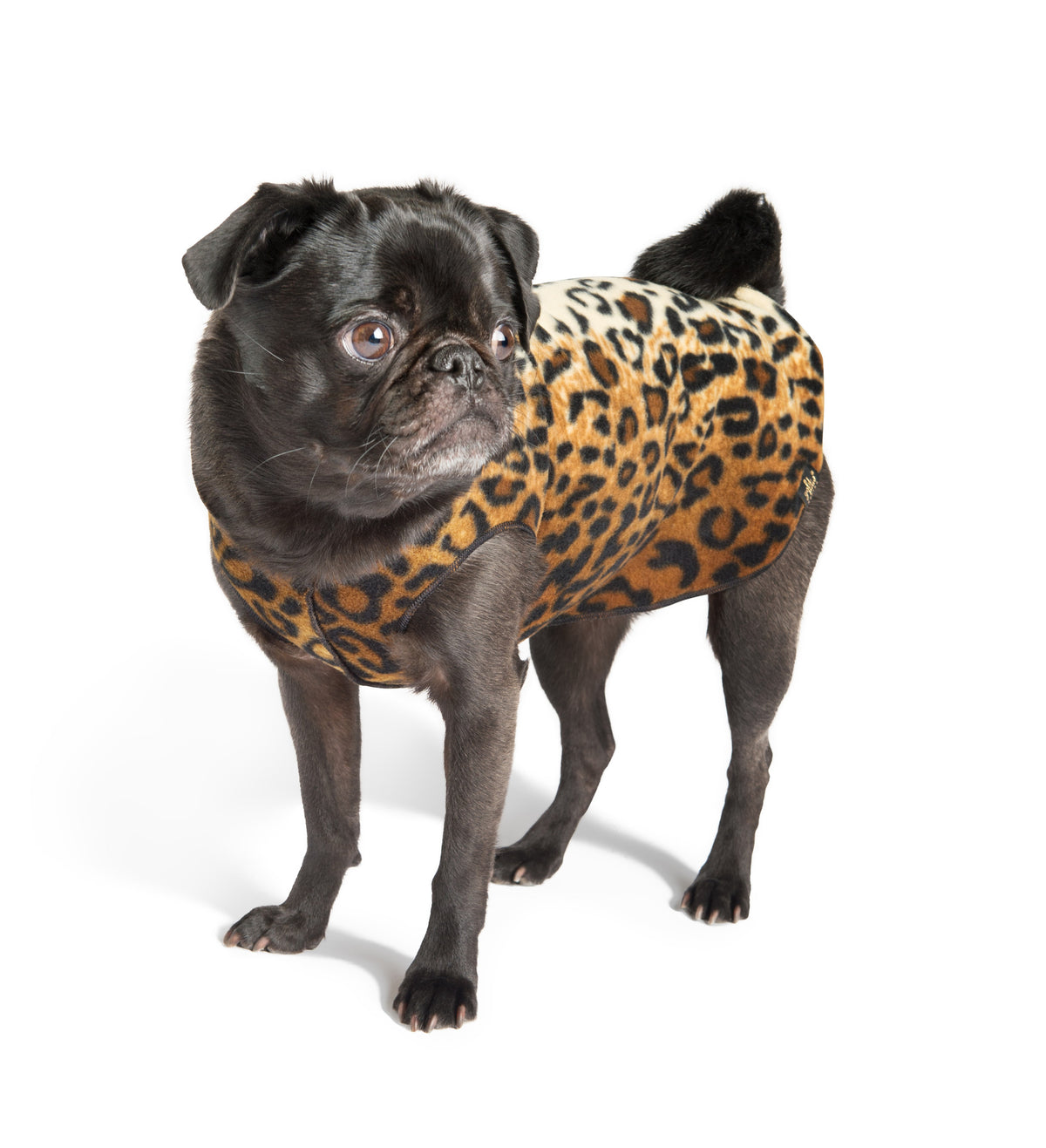 Leopard-pattern stretch fleece dog coat with hood and ribbed neckline