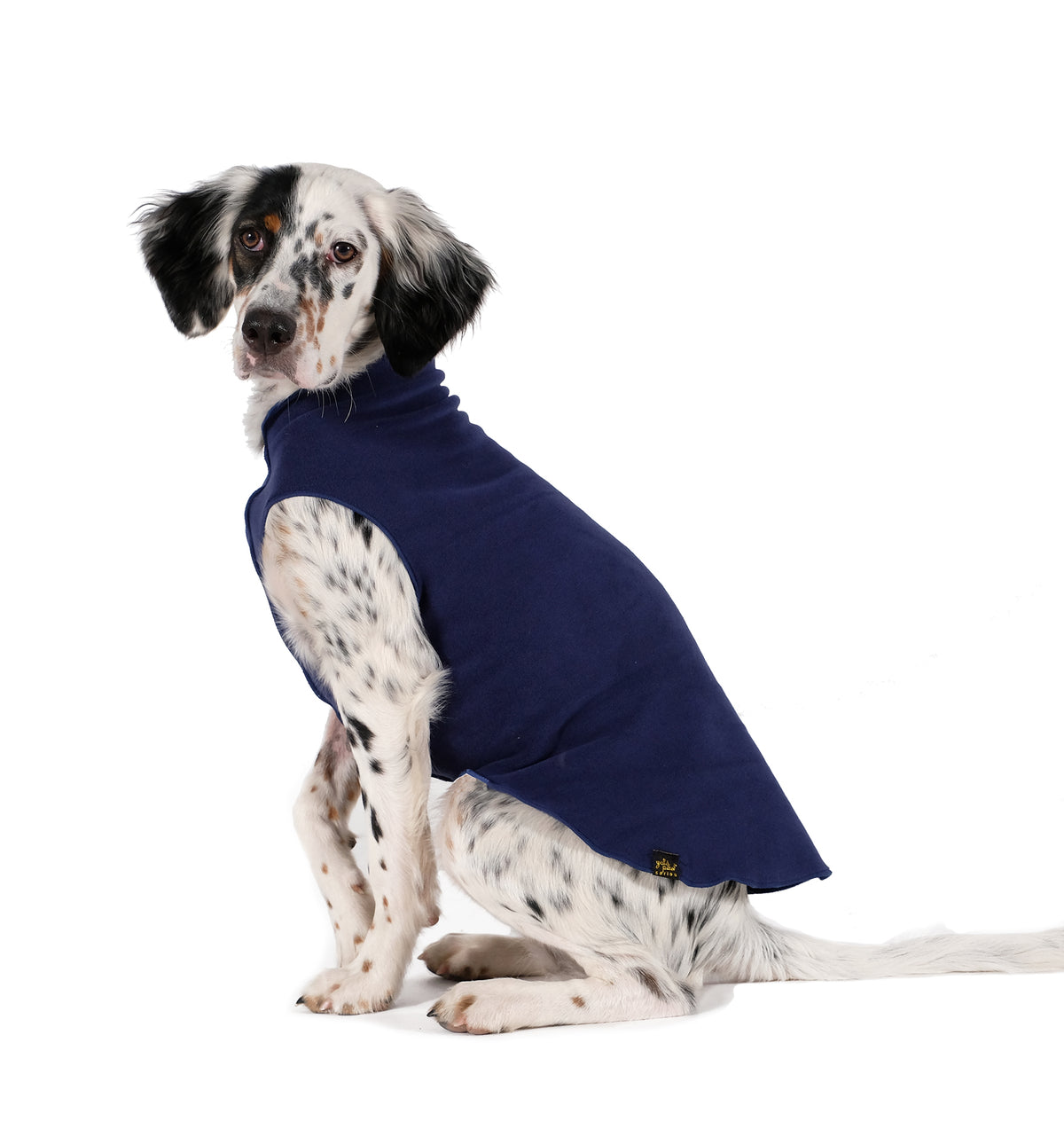 Navy blue stretch fleece dog coat on a speckled dog, seated side view