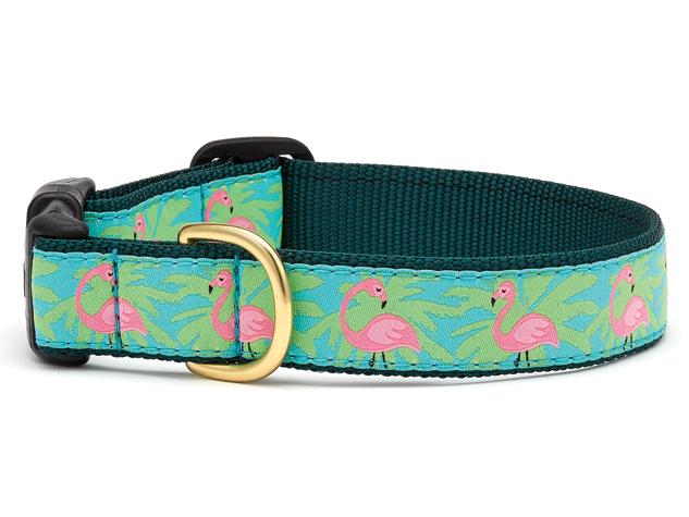 Flamingo-print dog collar with teal strap and gold buckle, dark green edging