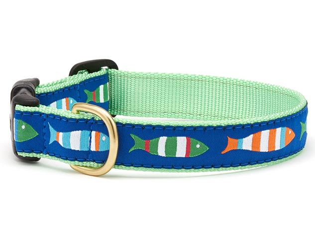 Funky fish-pattern dog collar, mint green webbing with blue D-ring
