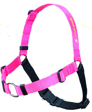 Pink dog harness with black buckles and chest strap, close-up