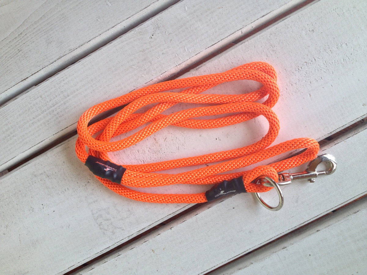 Orange braided dog training leash with metal swivel clip and D-ring