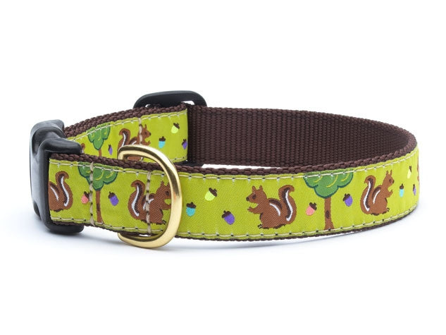 Dog collar with lime green dachshund print and dark brown buckle strap