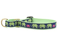 Martingale dog collar with green strap and multicolor elephant print, brass buckle and D-ring