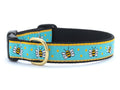 Dog collar with aqua bee pattern, black strap, and gold buckle