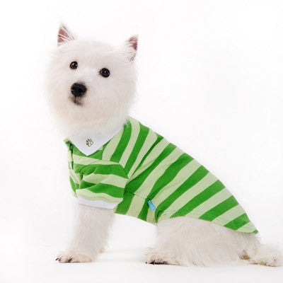 Green striped dog polo shirt with button placket and white collar