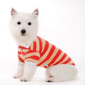 Dog polo shirt with red-and-tan horizontal stripes, polo collar, short sleeves
