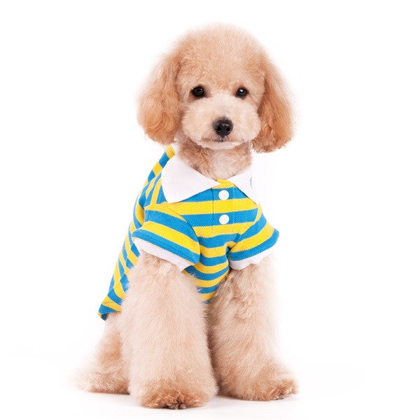 Dog polo shirt with yellow and blue stripes, button placket and collar, on a seated dog.