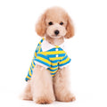 Dog polo shirt with yellow and blue stripes, button placket and collar, on a seated dog.