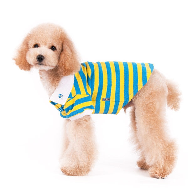 Dog polo shirt, yellow and blue striped pattern with white buttons, on standing dog.