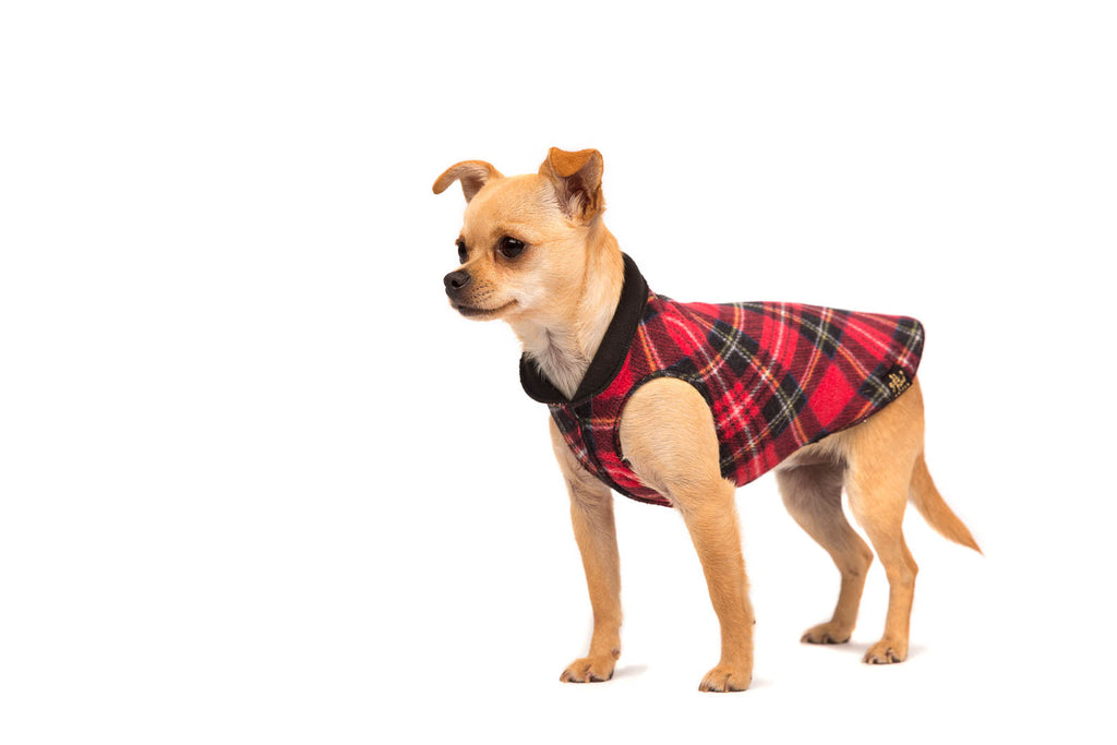 Red plaid dog pullover sweater with black side panels and half-turtleneck collar