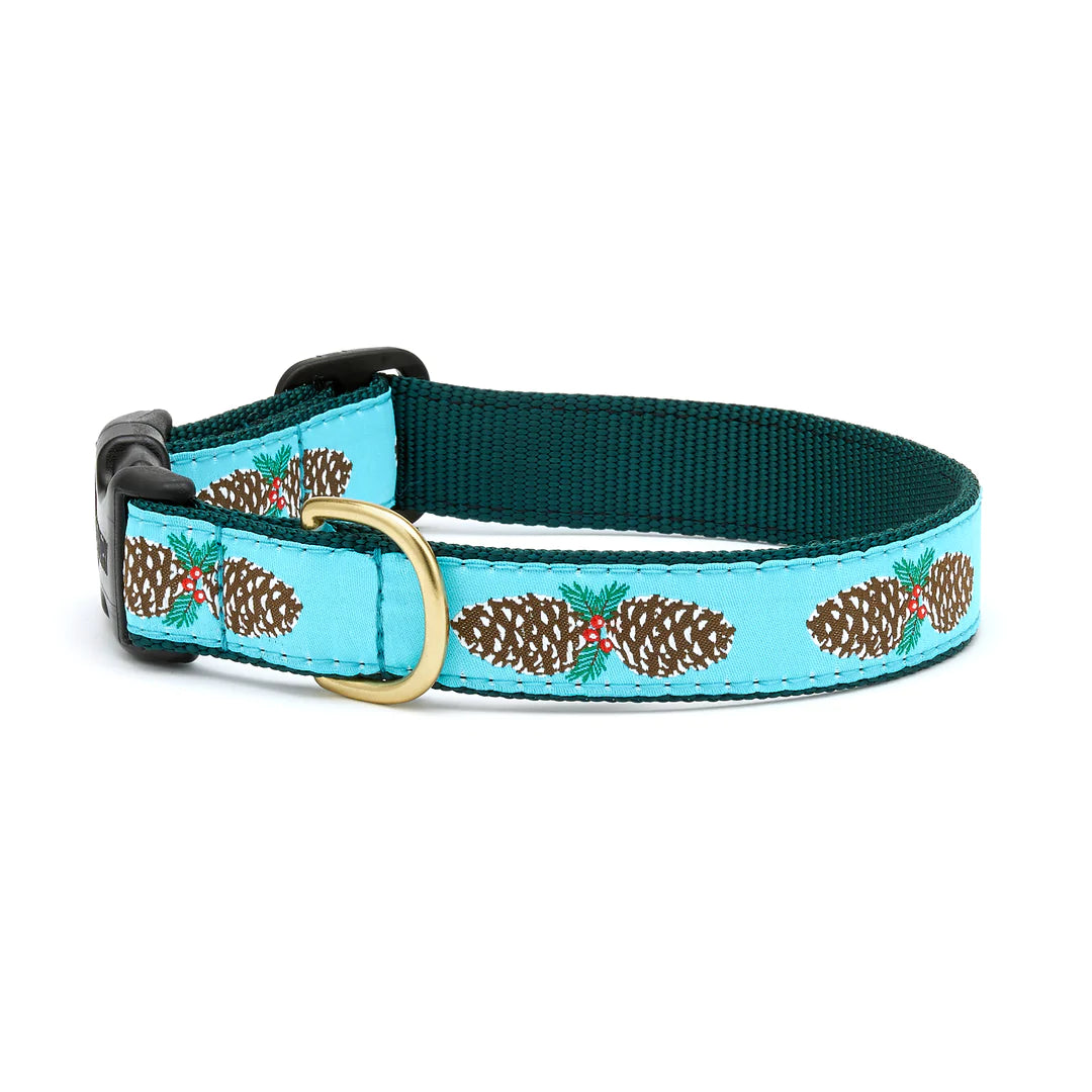 Teal dog collar with pinecone pattern and green trim, brass buckle