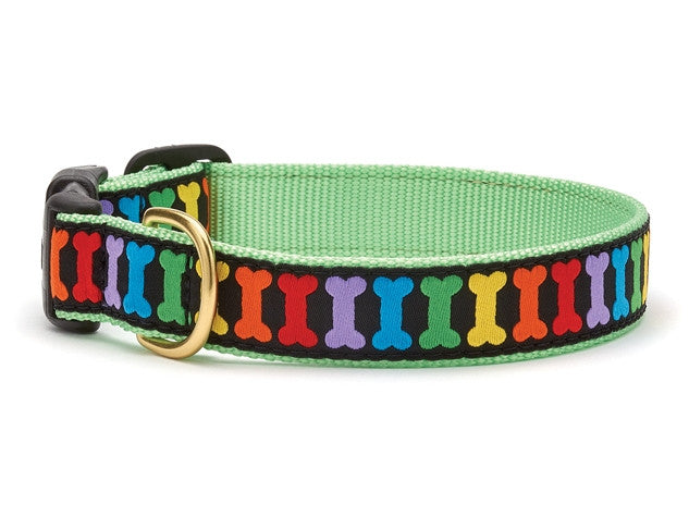 Green fabric dog collar with multicolor print and brass buckle