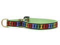 Martingale dog collar with green webbing, multicolor patterned trim, brass ring hardware