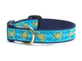 Sea turtle dog collar with turquoise patterned strap and navy webbing, metal D-ring