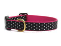 Two-tone dog collar with black white dot pattern and magenta strap, brass buckle