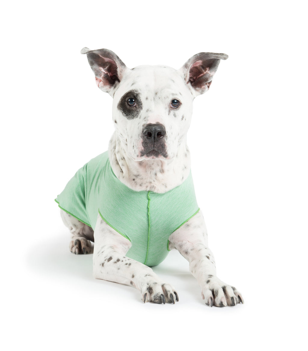 Pistachio green dog sun-shield tee with short sleeves and stitched crew neckline