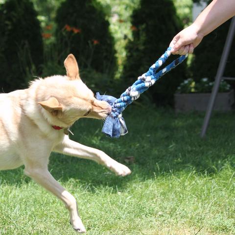 Fleece tug toy with braided striped rope and plush end, held by a dog