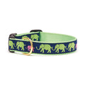 Up Country Leader of the Pach dog collar, green with navy elephant pattern and brass D-ring