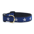 Blue dog collar with silver star pattern, gold buckle and D-ring