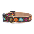 Brown dog collar with colorful floral band and brass buckle