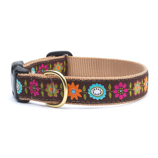 Brown dog collar with colorful floral band and brass buckle