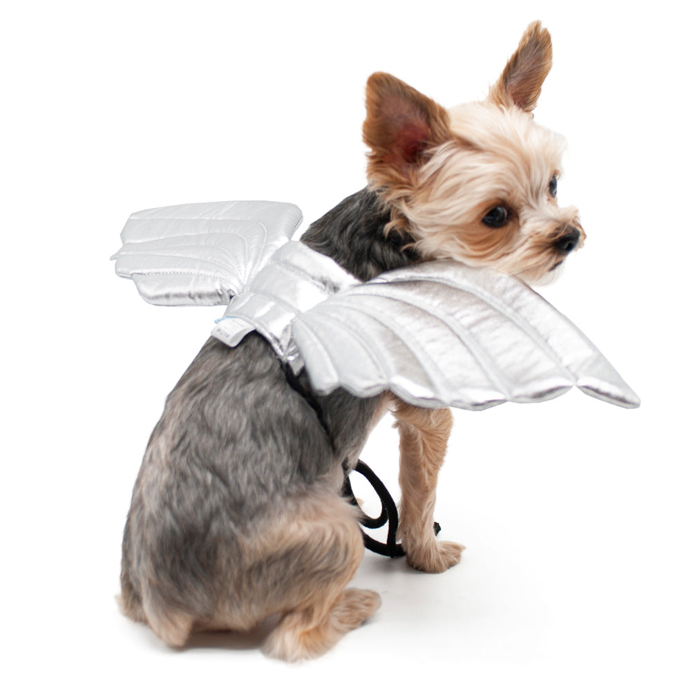 Silver angel dog wings costume with white wing fabric and black neck ties