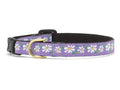 Purple daisy-pattern cat collar with gold buckle and black adjustment strap