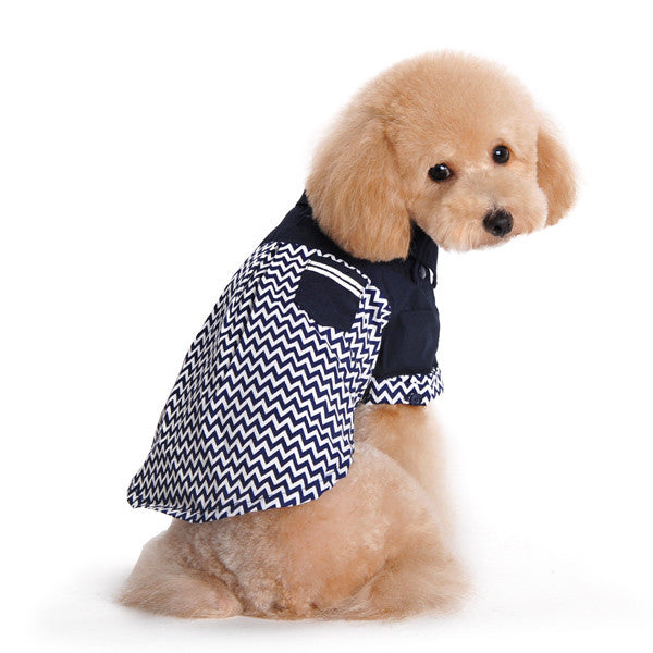 Tan dog sitting wearing navy and white chevron dog shirt with chest pocket and snaps.