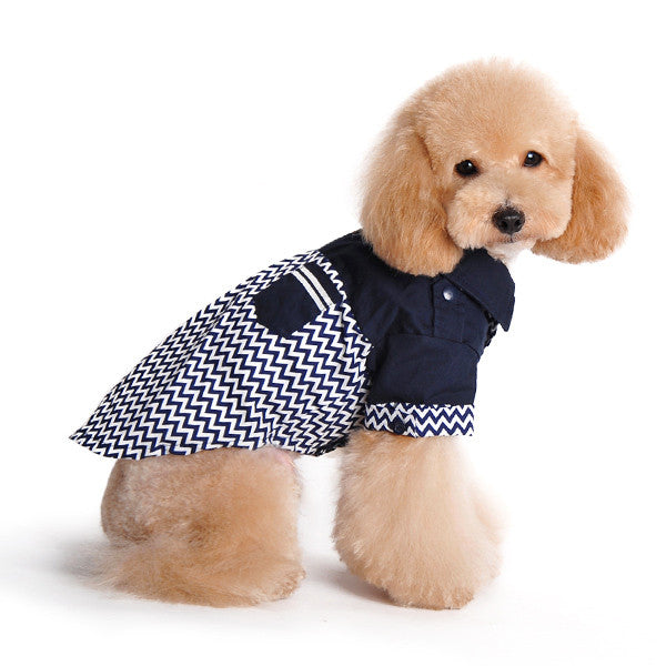 Tan dog wearing navy and white chevron dog shirt with high collar and button details.