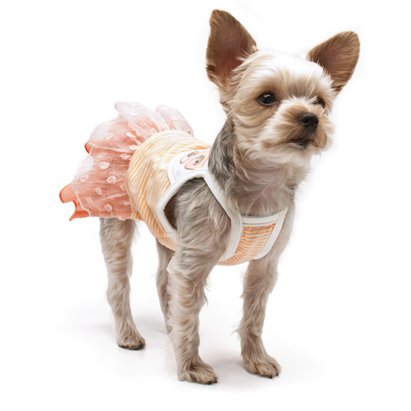 Citrus-themed dog dress in orange and cream with ruffled skirt and patterned bib, sleeveless