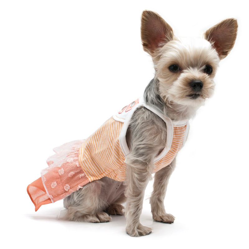 Citrus-themed dog dress in orange and pink with striped bodice and ruffled skirt, sleeveless