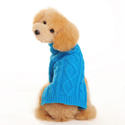 Blue cable-knit dog sweater on dog, textured rose pattern and button front