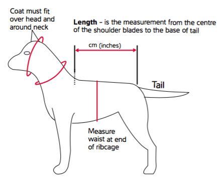 Guide for fitting red dog rain coat: measure neck and ribcage length to tail base.