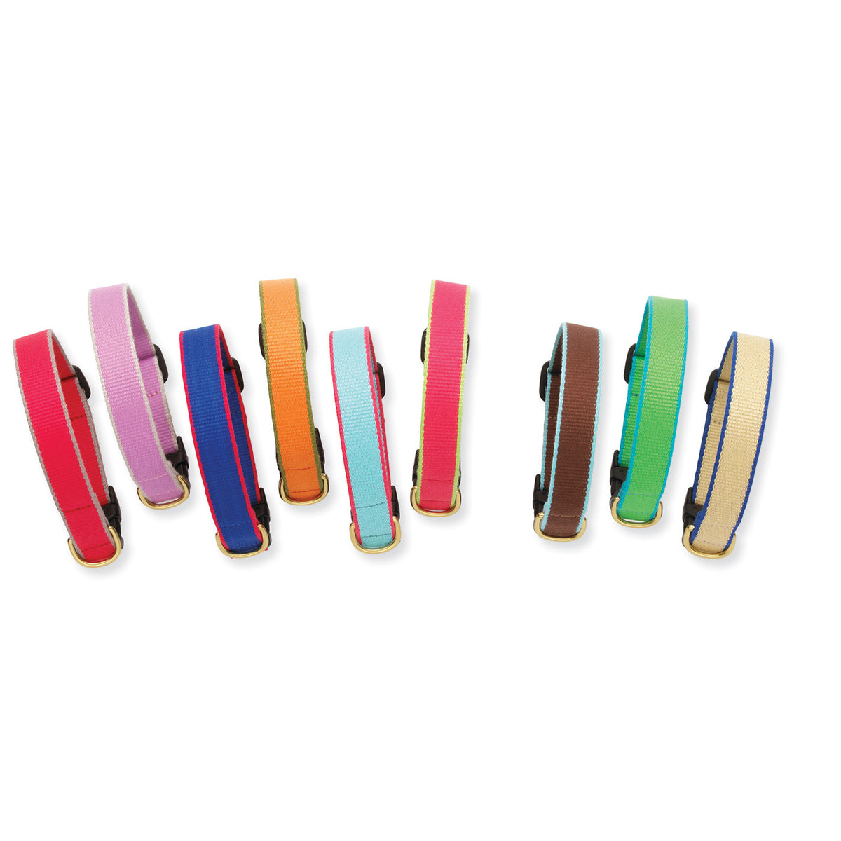 Assorted personalized dog collars in multiple colors with black hardware