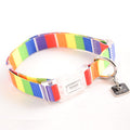 Rainbow striped dog collar with metal buckle and DOGO tag