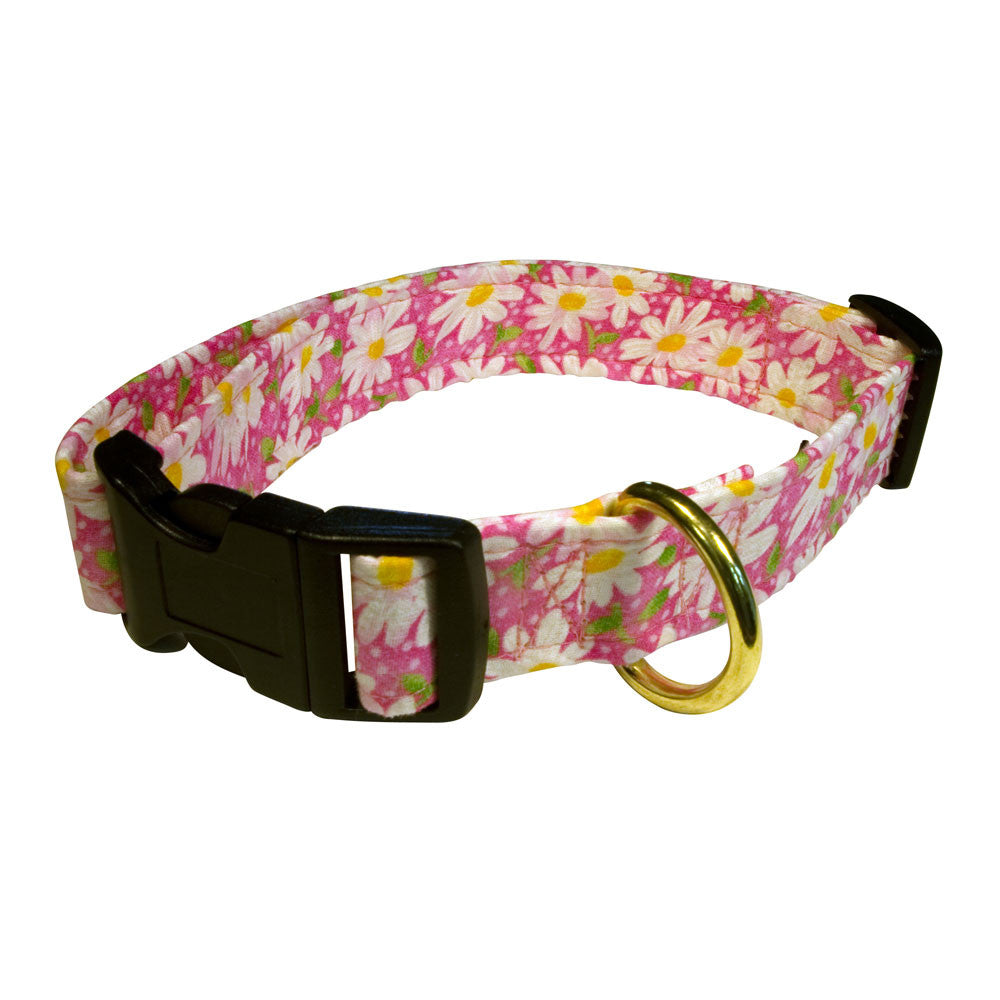 Pink daisy dog collar with black buckle and gold D-ring, adjustable strap