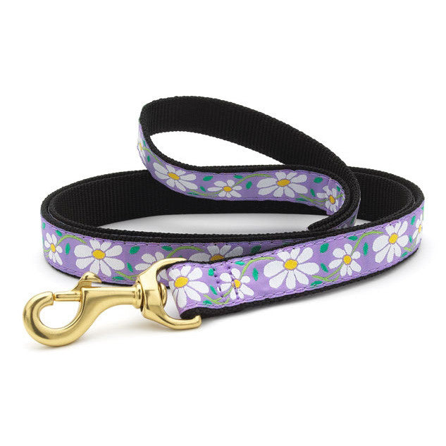 Purple daisy dog collar with gold buckle and D-ring, patterned webbing