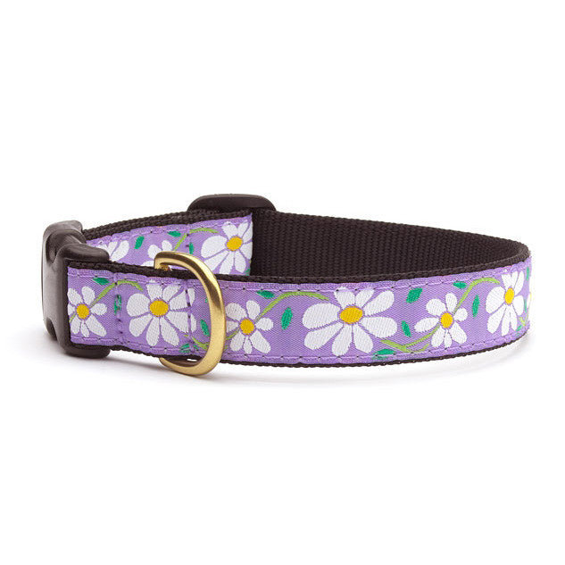 Purple daisy dog collar with brown strap and gold buckle, floral print