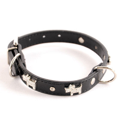 Black dog collar with silver-tone studs and star cutout charms