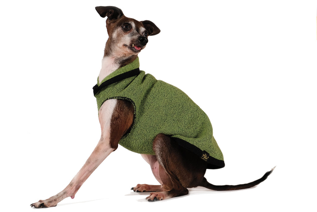 Leaf green eco fleece dog pullover sweater on seated dog, black trim detail