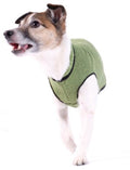 Leaf green eco fleece dog pullover sweater with black trim and side opening