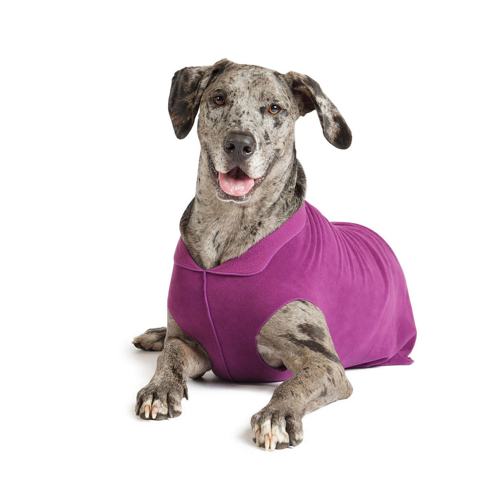Eggplant purple stretch fleece dog coat with leg holes and belly panel