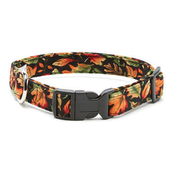 Autumn fall leaves dog collar with black buckle and metal D-ring, orange and green