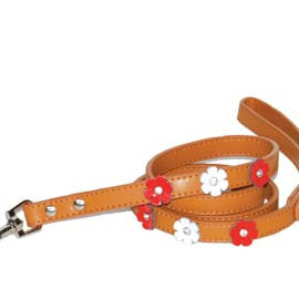 Brown dog collar strap with white and pink flower patches, studs, and metal clasp