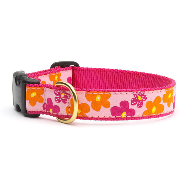 Dog collar with hot pink strap and orange flower pattern, brass buckle and D-ring