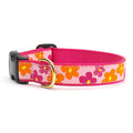 Dog collar with hot pink strap and orange flower pattern, brass buckle and D-ring