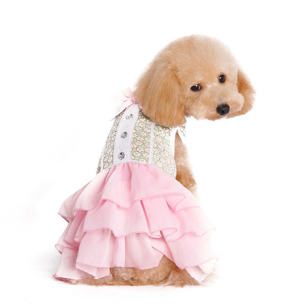 Dog dress on a dog: green floral vest and light pink tiered skirt with neck bow